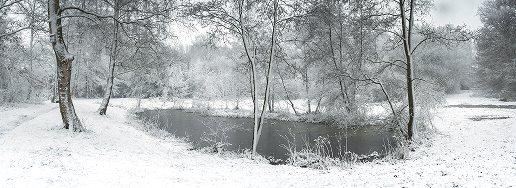 Winter in het Heempark